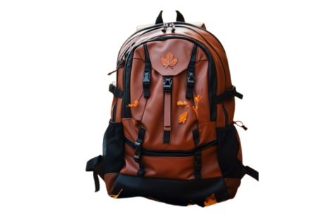 Customized Backpack Manufacturer in Jaipur